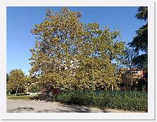 IMG20221030141102 * 4624 x 3468 * (8.94MB)