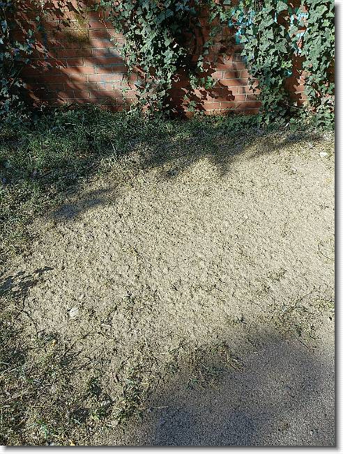 Clicca per scorrere le foto originali ingrandite