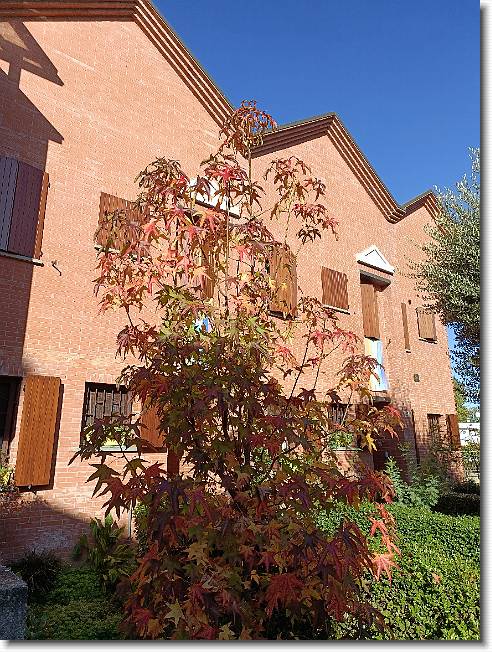 Clicca per scorrere le foto originali ingrandite