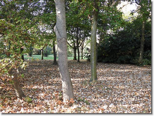 Clicca per scorrere le foto originali ingrandite