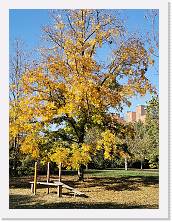2022-10-29-15h19m12 * 2736 x 3648 * (2.99MB)