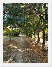 2022-10-29-15h19m24_0 * 2736 x 3648 * (3.99MB)