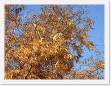 2022-10-29-15h20m16 * 4608 x 3456 * (4.06MB)