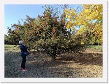 2022-10-29-15h21m00 * 4624 x 3468 * (10.16MB)