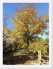 2022-10-29-15h21m04 * 3468 x 4624 * (10.54MB)