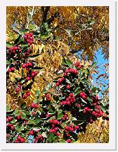 2022-10-29-15h24m36 * 2736 x 3648 * (965KB)