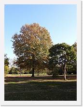 2022-10-29-15h26m31 * 4608 x 3456 * (3.97MB)
