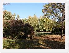 2022-10-29-15h27m41 * 4608 x 3456 * (3.97MB)