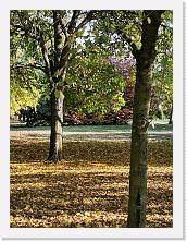 2022-10-29-15h34m55 * 2736 x 3648 * (2.72MB)