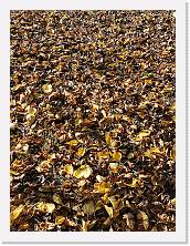 2022-10-29-15h35m27 * 2736 x 3648 * (2.8MB)