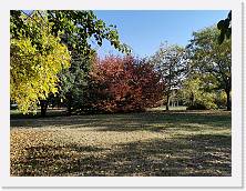 2022-10-29-15h39m19 * 3648 x 2736 * (2.75MB)