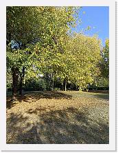 2022-10-29-15h40m43 * 3468 x 4624 * (10.32MB)