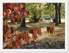 2022-10-29-15h43m35 * 4608 x 3456 * (4.09MB)