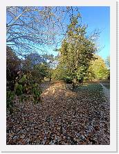 2022-10-29-15h56m37 * 2448 x 3264 * (4.75MB)