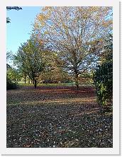 2022-10-29-16h00m48 * 3468 x 4624 * (10.49MB)