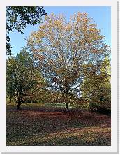 2022-10-29-16h01m15 * 3468 x 4624 * (10.77MB)