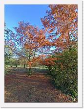 2022-10-29-16h09m32 * 2448 x 3264 * (4.76MB)
