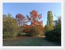 2022-10-29-16h09m55 * 4624 x 3468 * (8.1MB)
