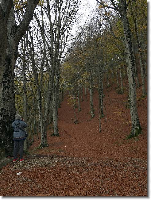 Clicca per scorrere le foto originali ingrandite