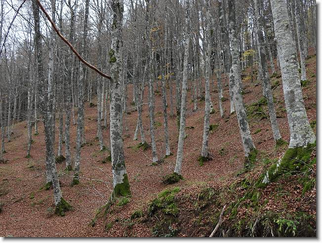 Clicca per scorrere le foto originali ingrandite