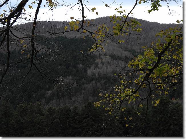 Clicca per scorrere le foto originali ingrandite