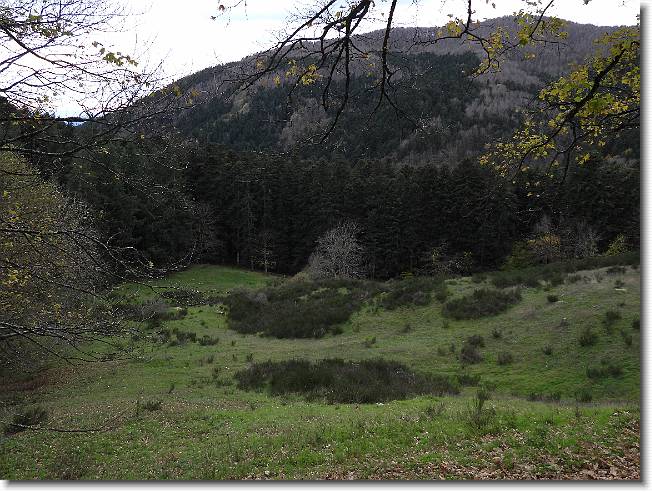 Clicca per scorrere le foto originali ingrandite