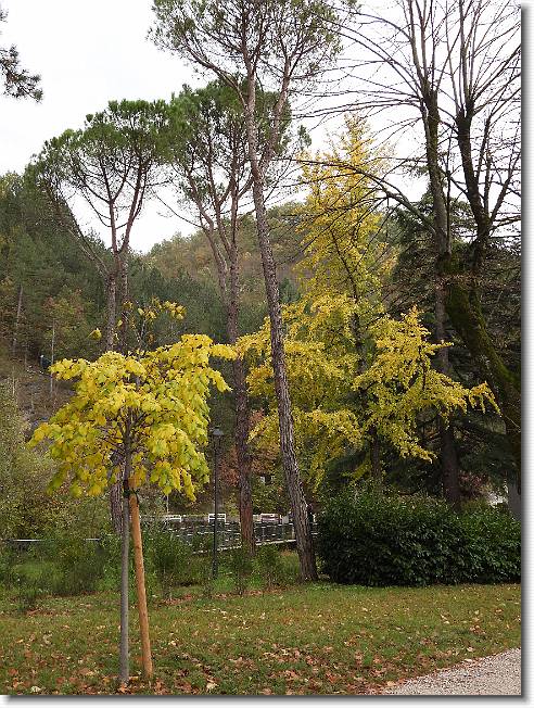 Clicca per scorrere le foto originali ingrandite