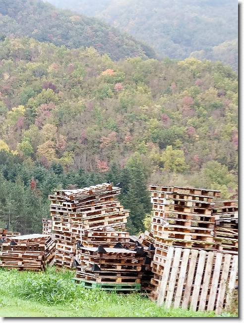 Clicca per scorrere le foto originali ingrandite