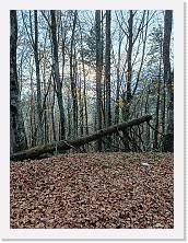 2022-11-11-16h17m00 * 3468 x 4624 * (8.73MB)