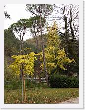 2022-11-13-14h14m15 * 4608 x 3456 * (4.02MB)