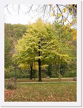 2022-11-13-14h17m09 * 4608 x 3456 * (4.16MB)
