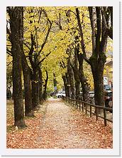 2022-11-13-14h23m53 * 4608 x 3456 * (3.9MB)