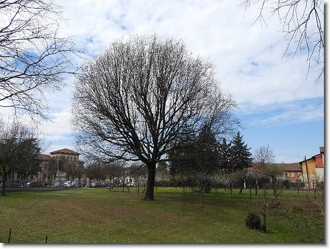 Clicca per scorrere le foto originali ingrandite