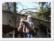 2023-03-22-11h26m02 * 4608 x 3456 * (7.07MB)