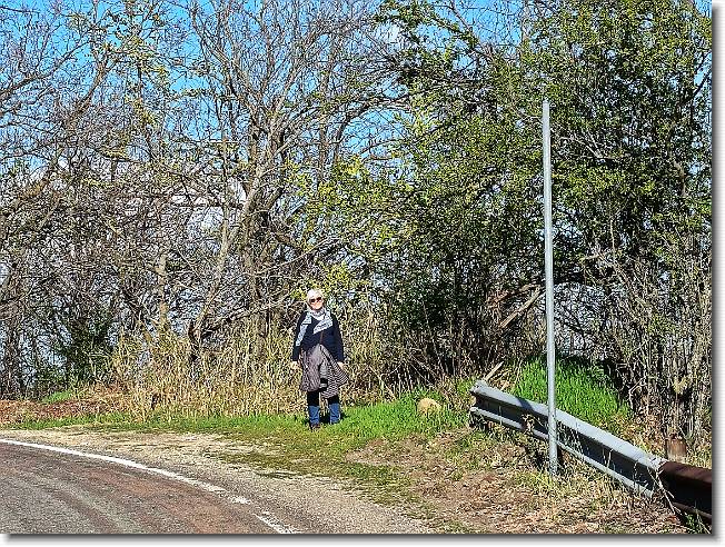 Clicca per scorrere le foto originali ingrandite