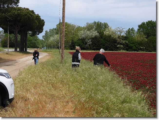 Clicca per scorrere le foto originali ingrandite