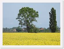 2023-04-30-12h18m04 * 4608 x 3456 * (7.2MB)