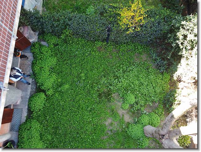 Clicca per scorrere le foto originali ingrandite