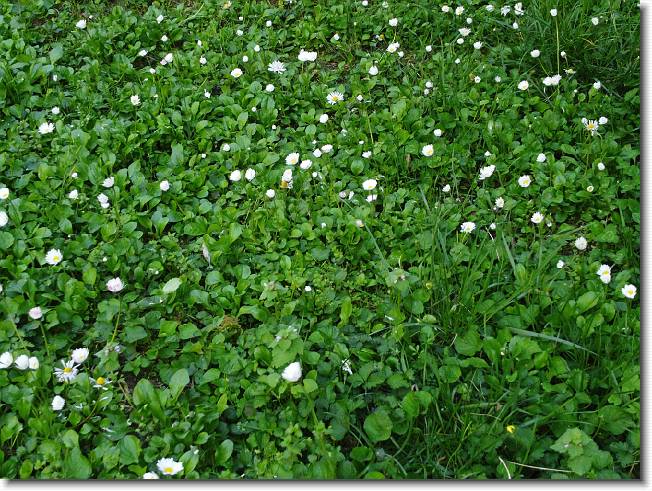 Clicca per scorrere le foto originali ingrandite