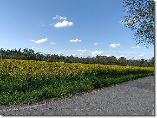 Clicca per scorrere le foto originali ingrandite