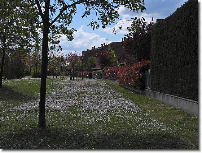 Clicca per scorrere le foto originali ingrandite