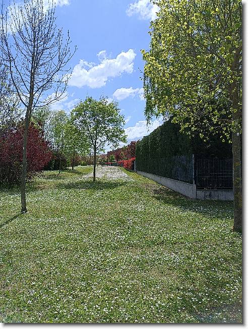 Clicca per scorrere le foto originali ingrandite