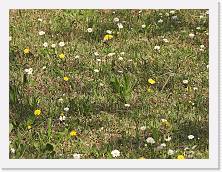 2023-04-16-12h15m58 * 4608 x 3456 * (7.5MB)