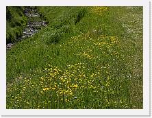 2023-04-16-12h20m13 * 4608 x 3456 * (7.45MB)
