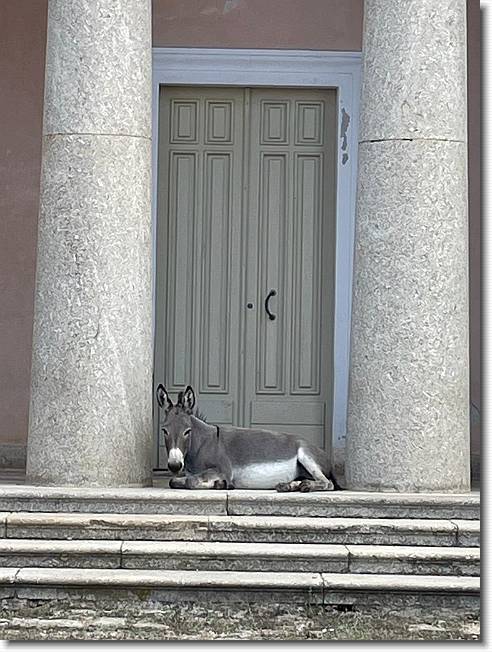 Clicca per scorrere le foto originali ingrandite