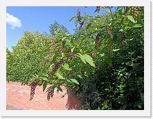 IMG20230924132943 * 4624 x 3468 * (6.46MB)