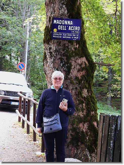 Clicca per scorrere le foto originali ingrandite