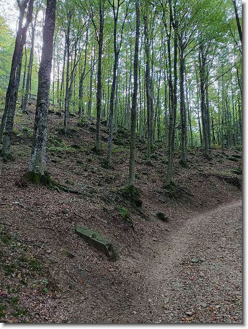 Clicca per scorrere le foto originali ingrandite