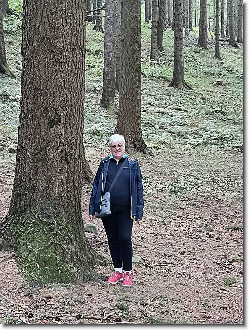 Clicca per scorrere le foto originali ingrandite