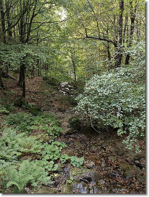Clicca per scorrere le foto originali ingrandite